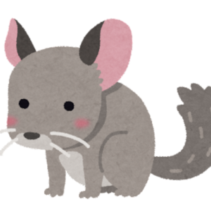 ネズミ駆除